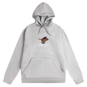 Sporting Goods Grey Hoodie II