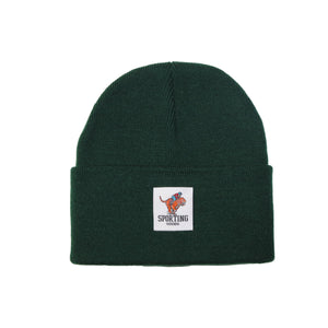 Sporting Goods Beanie Green